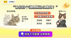 以外表去定义一小我